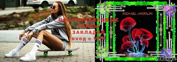 круглые Алексин