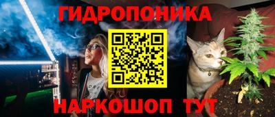 apvp Балашиха
