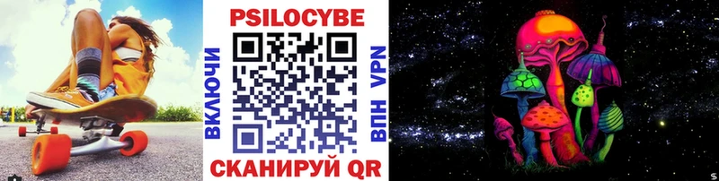 Псилоцибиновые грибы Psilocybe  Аргун 