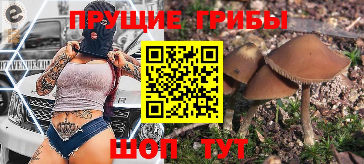 ТГК  Каннабис  Аргун  Вход с VPN  ГАШИШ  Купить наркотики  Меф МЯУ МЯУ   Cocaine 