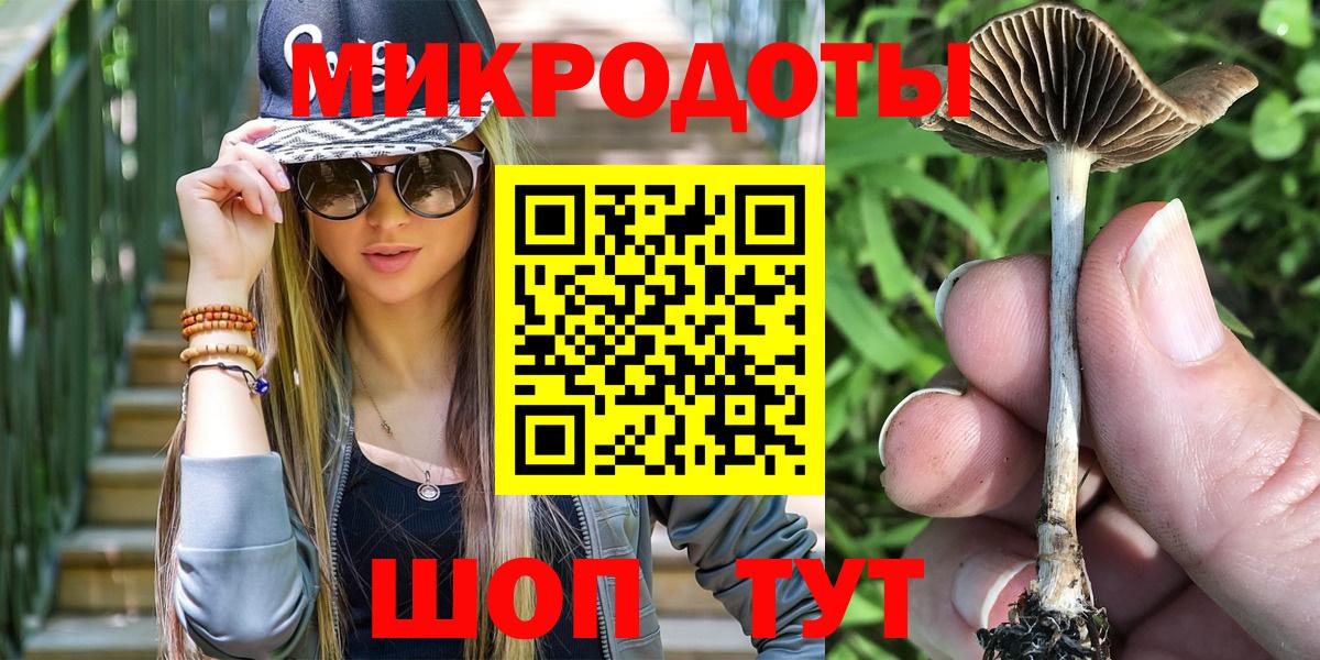 Галлюциногенные грибы Psilocybine cubensis  Вход с VPN  Аргун 